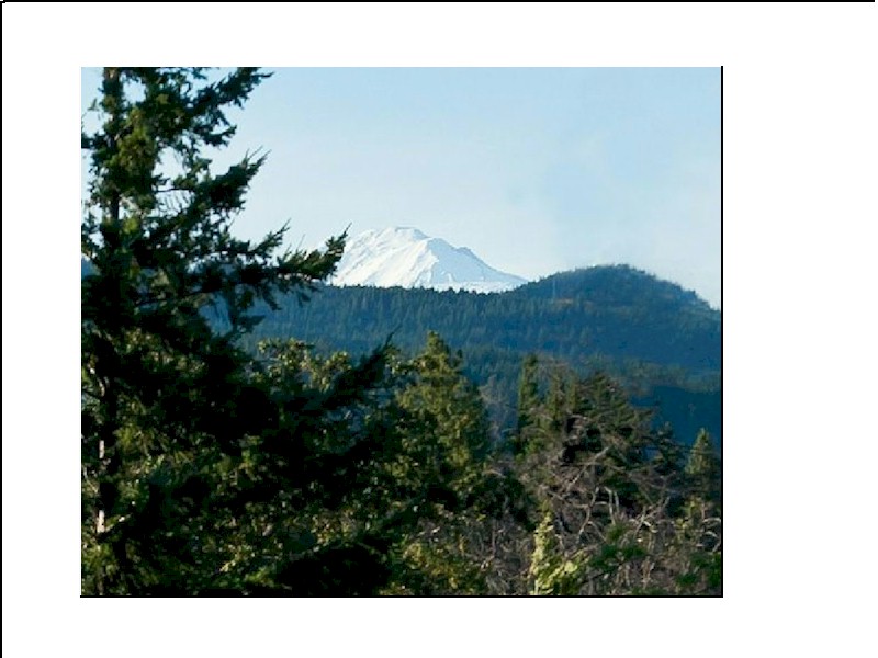 Wellness by Choice Retreat Pacific NW